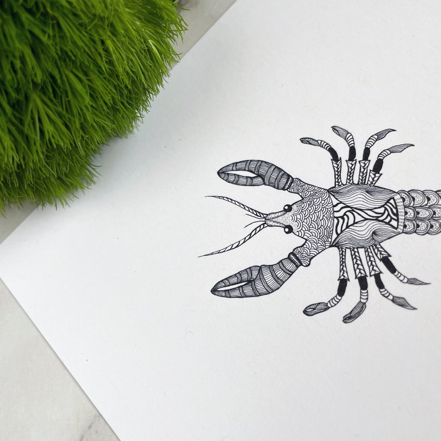 Lovely Lobster