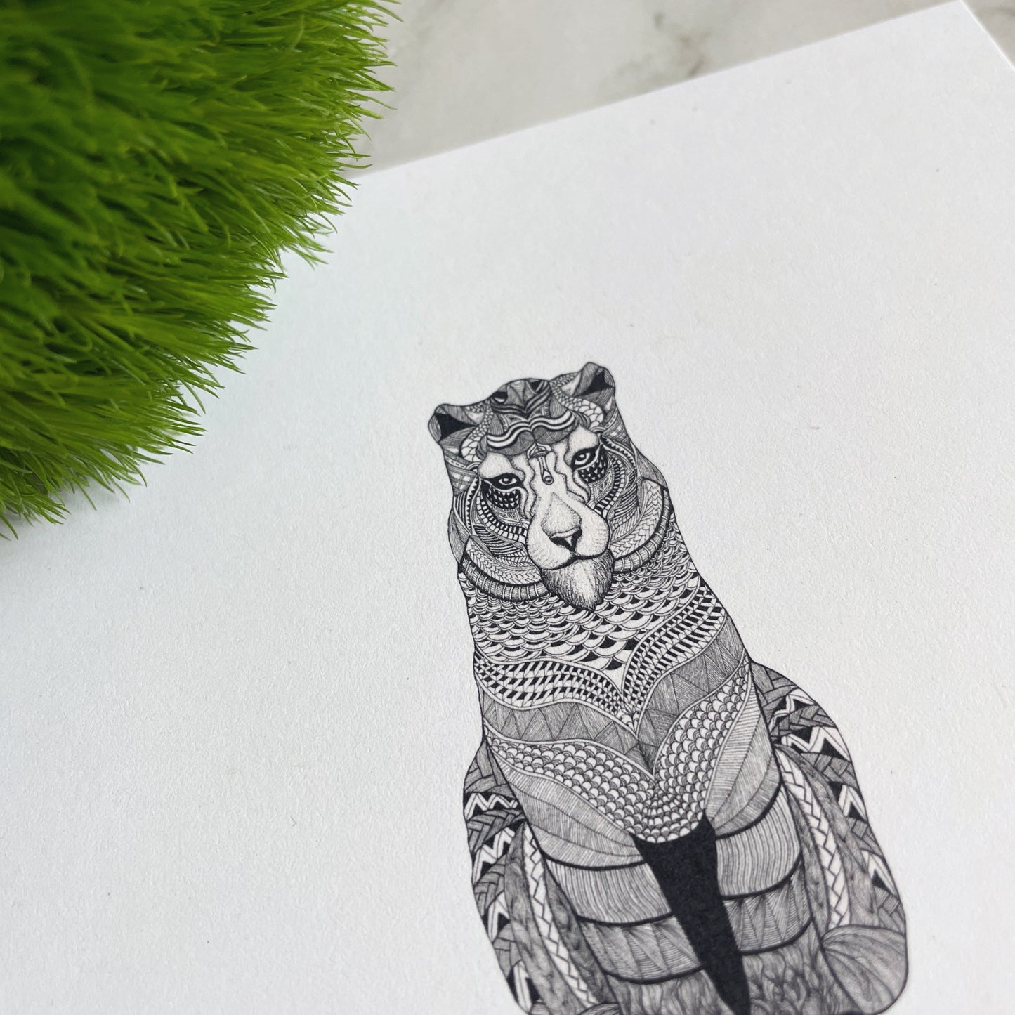 Jungle Kitten